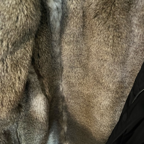 Babaton Odell Parka ✨ Aritzia - Picture 5 of 8